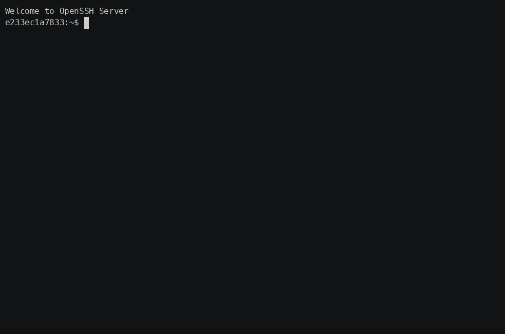 Recorded SSH session terminal playback